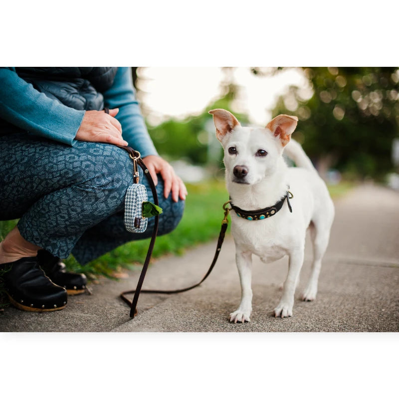 P.L.A.Y. Proper Pup Dog Poop Bag Dispenser - Light Blue | Eco-Friendly Holder