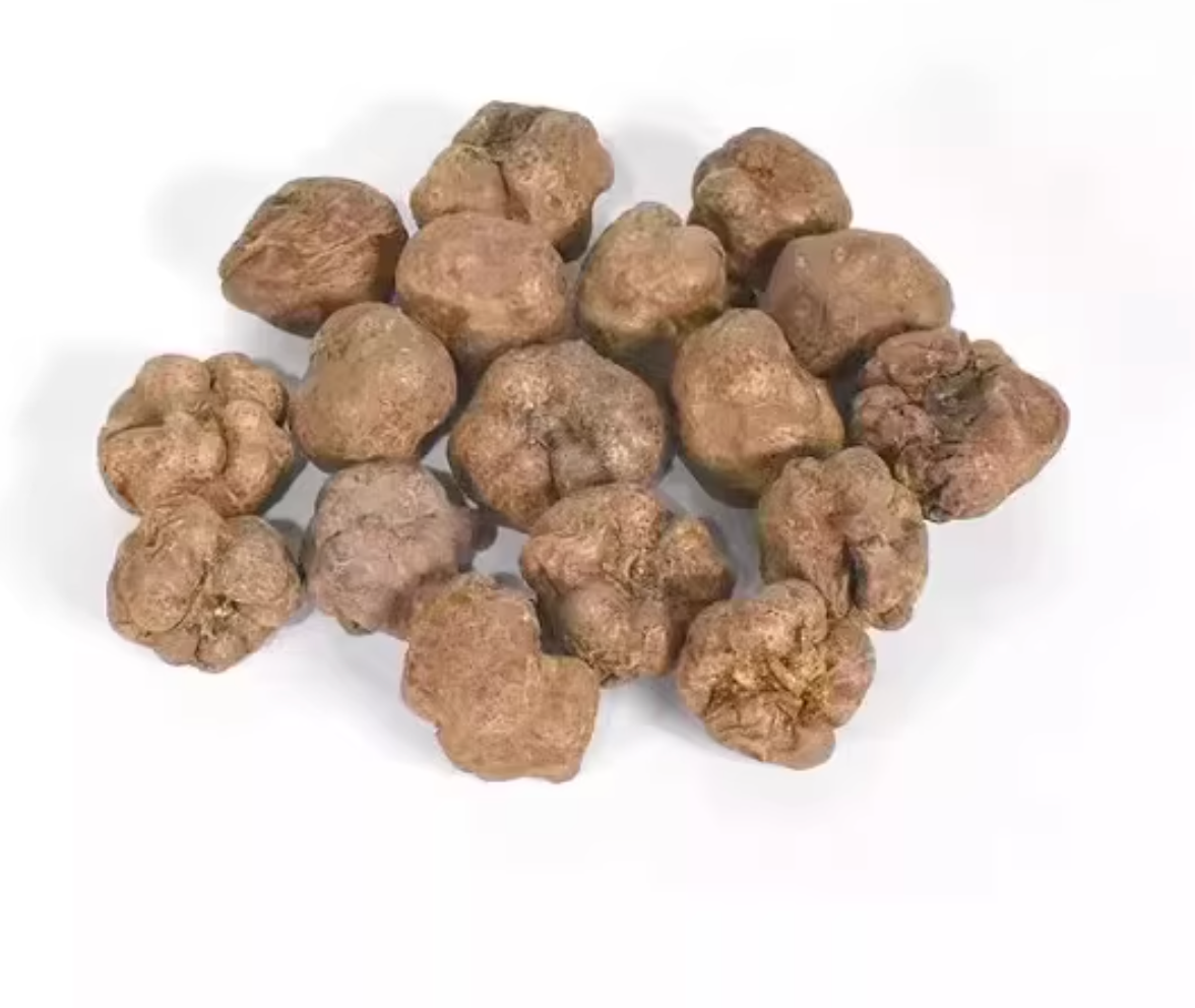 Catnip Fruit “Happy Nut” | Fresh Natsume Fruits FD Freeze-Dried Treats for Cats