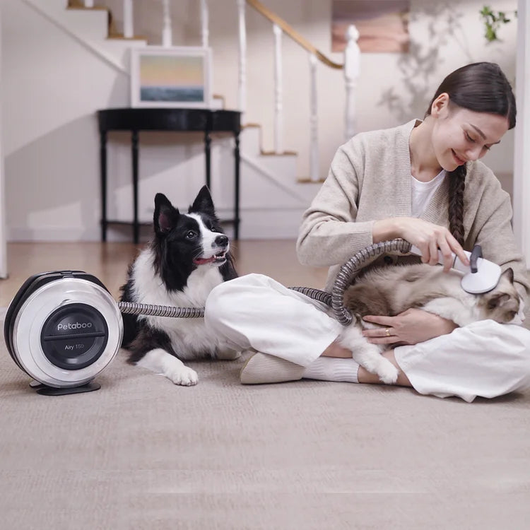 PETABOO Airy150 5 in 1 – Quiet Cordless Pet Vacuum for Grooming & Shedding
