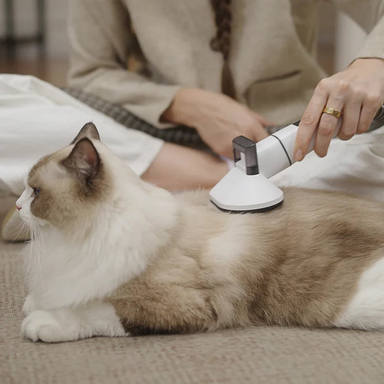 PETABOO Airy150 5 in 1 – Quiet Cordless Pet Vacuum for Grooming & Shedding