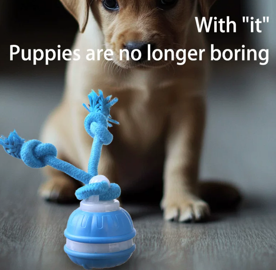 Interactive Automatic Rolling Dog Toy – Durable Smart Ball for Chewing & Play