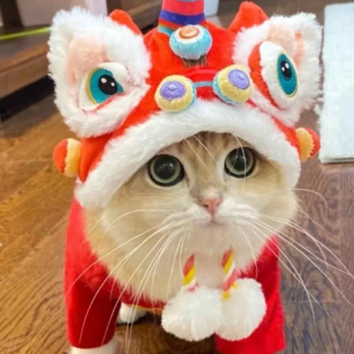 Chinese New Year Lion Dance Pet Hat