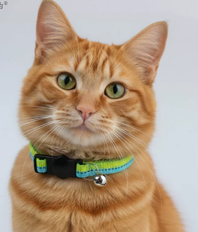 Reflective Breakaway Cat Collar – Adjustable Safety Collar for Large Cats & Kittens