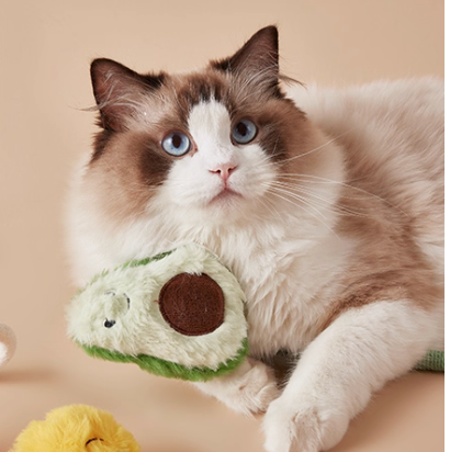 Cat Chew Rope Toy – Durable, Fun & Boredom-Busting