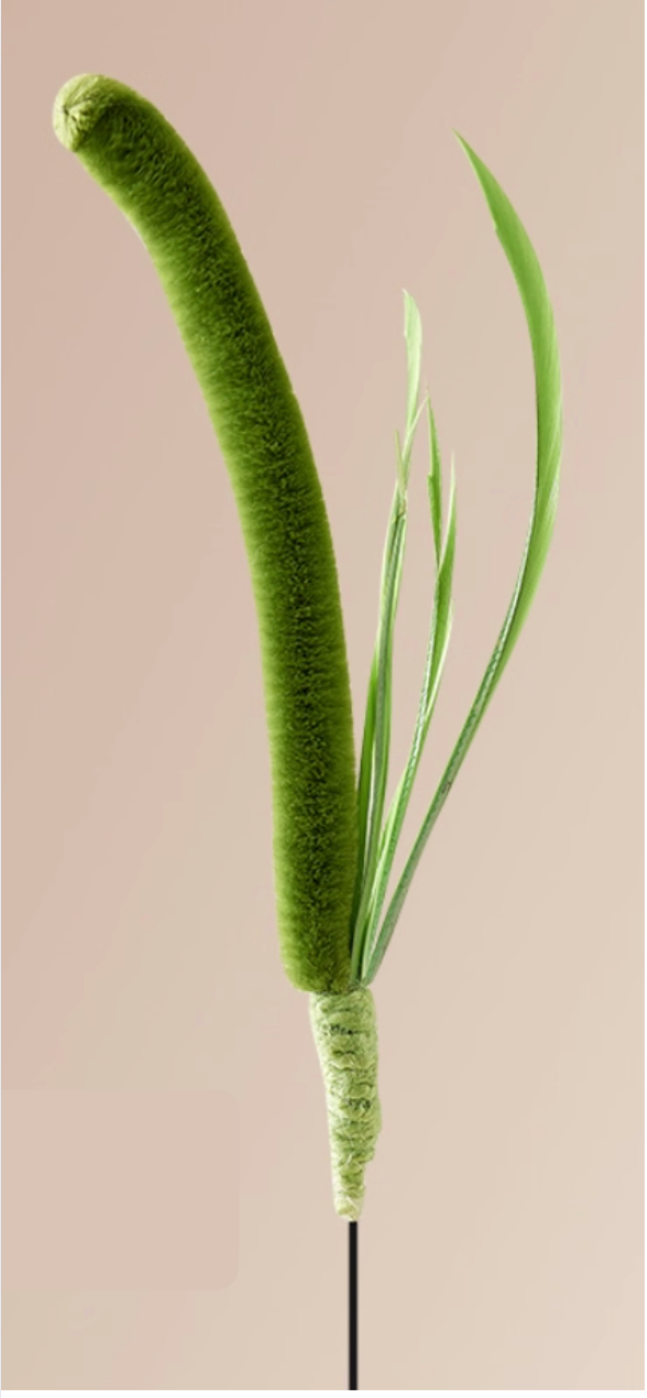 Foxtail Grass Cat Teaser Wand – Durable, Interactive & Boredom-Busting