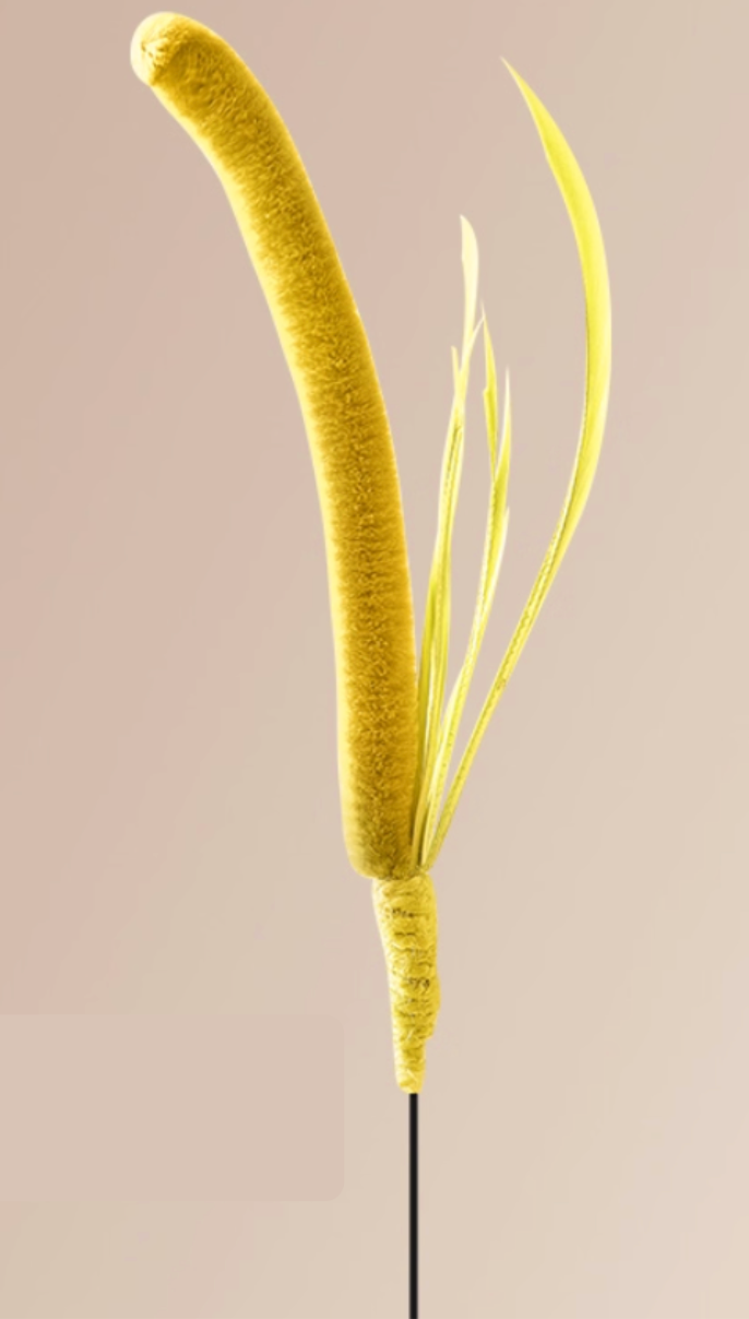 Foxtail Grass Cat Teaser Wand – Durable, Interactive & Boredom-Busting