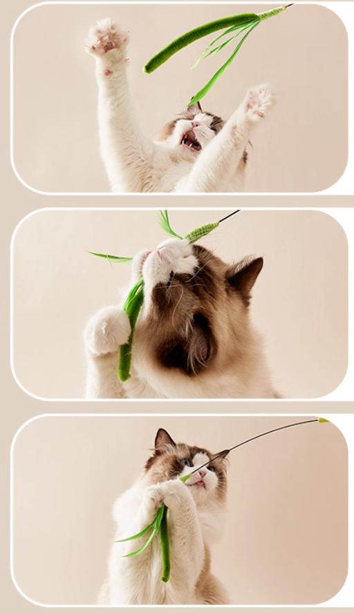 Foxtail Grass Cat Teaser Wand – Durable, Interactive & Boredom-Busting