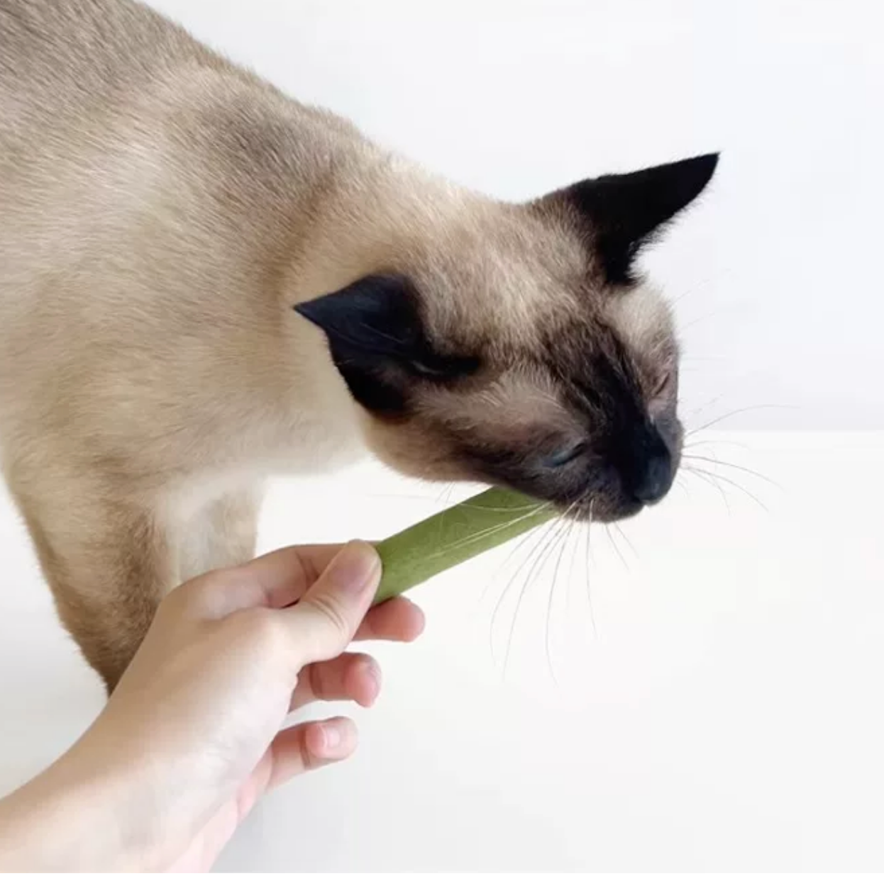 Catwant Freeze-Dried Chicken & Cat Grass Dental Sticks (5 Pack | 30g)
