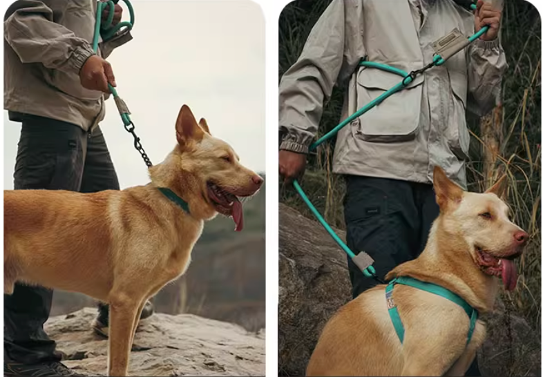 Climbing Dog Multifunction Leash – Heavy-Duty