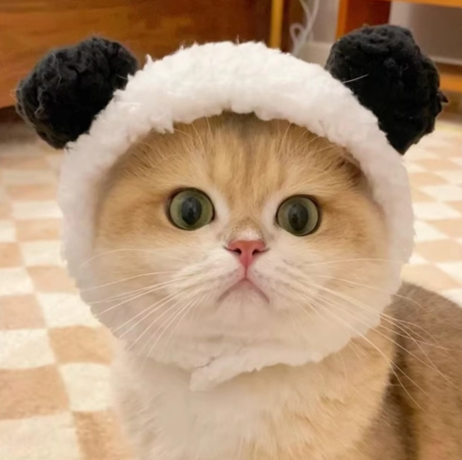 Cute Animal Pet Hat for Cats & Dogs | Lion, Panda, Pink Bear & Bunny