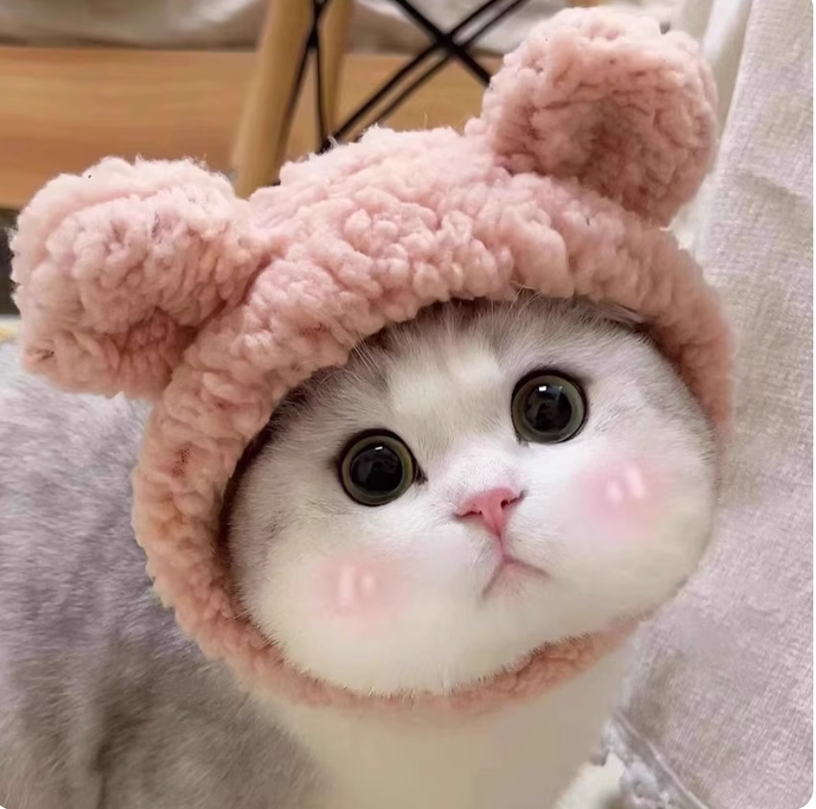 Cute Animal Pet Hat for Cats & Dogs | Lion, Panda, Pink Bear & Bunny