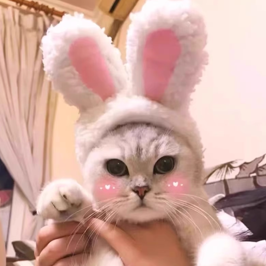 Cute Animal Pet Hat for Cats & Dogs | Lion, Panda, Pink Bear & Bunny