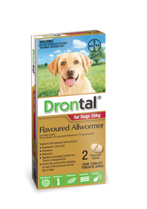 Drontal Allwormer：为狗提供全面的蠕虫保护