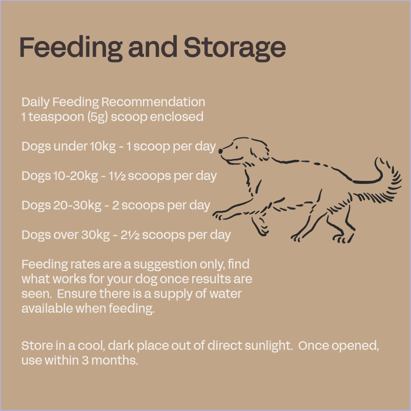 Fourflax Probiotics for Dogs - Digestive & Immune Support