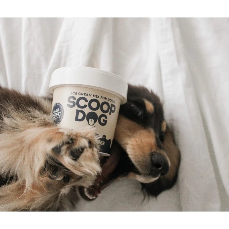 Scoop Dog Peanut Butter Ice Cream Mix for Dogs - Natural & Delicious