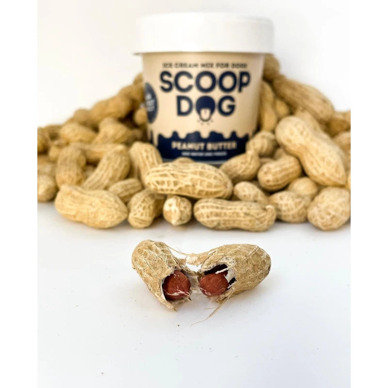 Scoop Dog Peanut Butter Ice Cream Mix for Dogs - Natural & Delicious