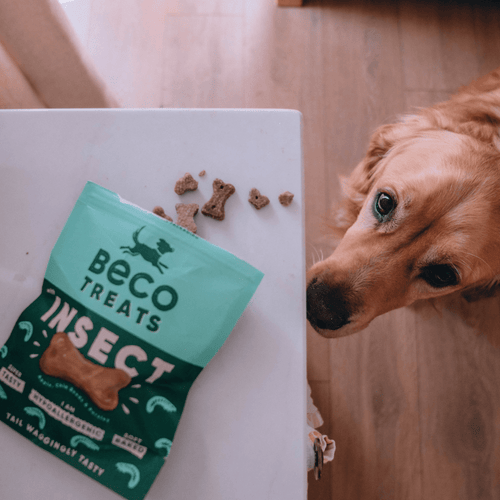 Beco Insect Dog Treats - Apple & Chia Seeds