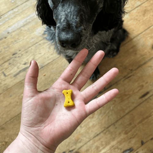 Beco Peanut Dog Treats - Coconut & Turmeric