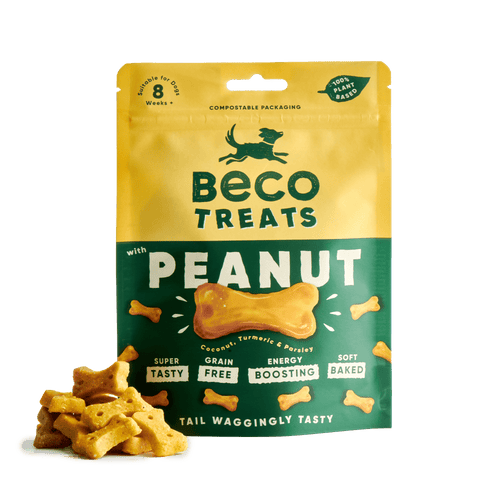 Beco Peanut Dog Treats - Coconut & Turmeric