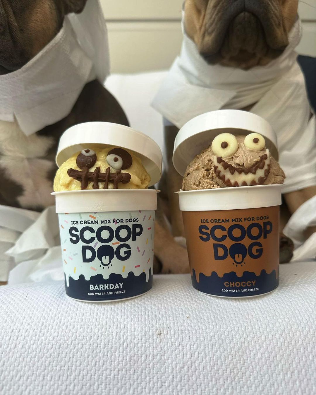 Choccy Ice Cream Mix for Dogs