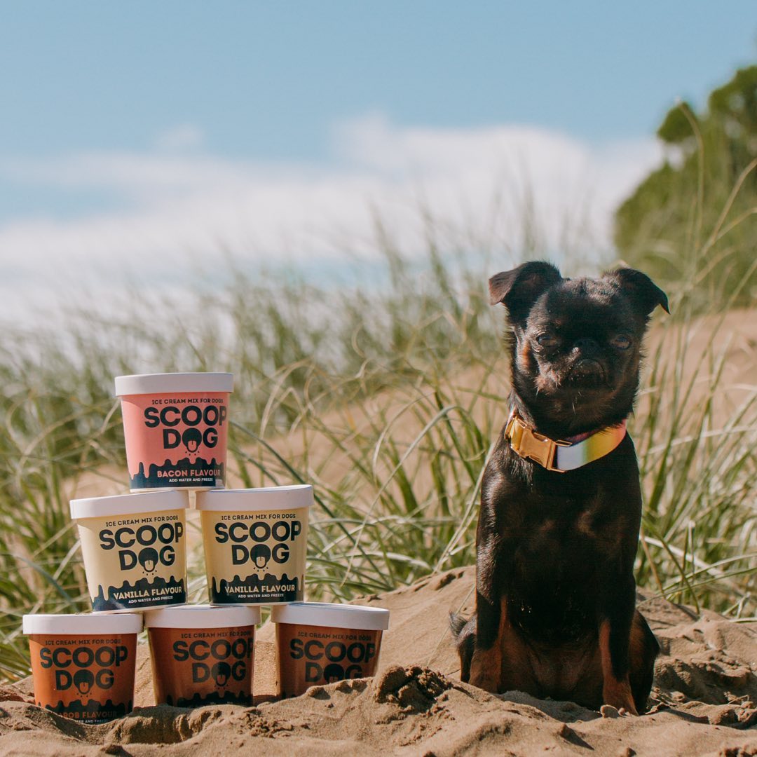 Choccy Ice Cream Mix for Dogs