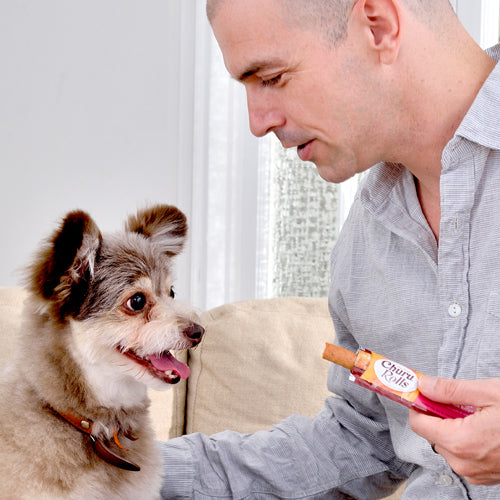 Dog enjoying Inaba Churu Rolls – Soft baked chicken wraps filled with creamy salmon for training or snacks.