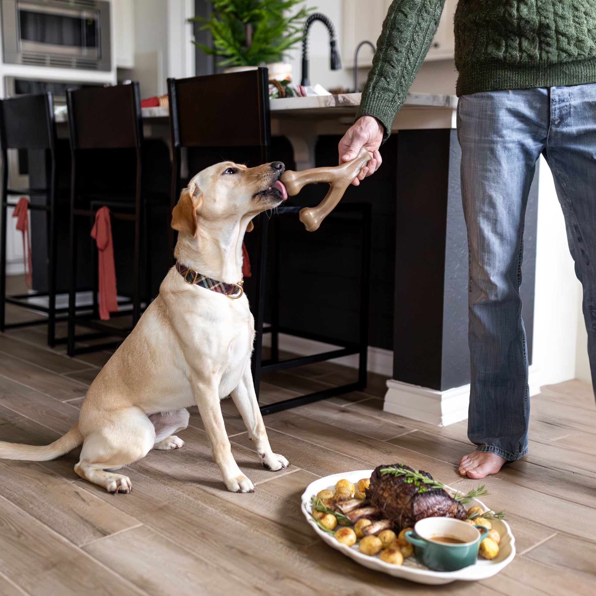 Dog owner offering a Benebone Wishbone Bacon Chew Toy to a yellow Labrador indoors.