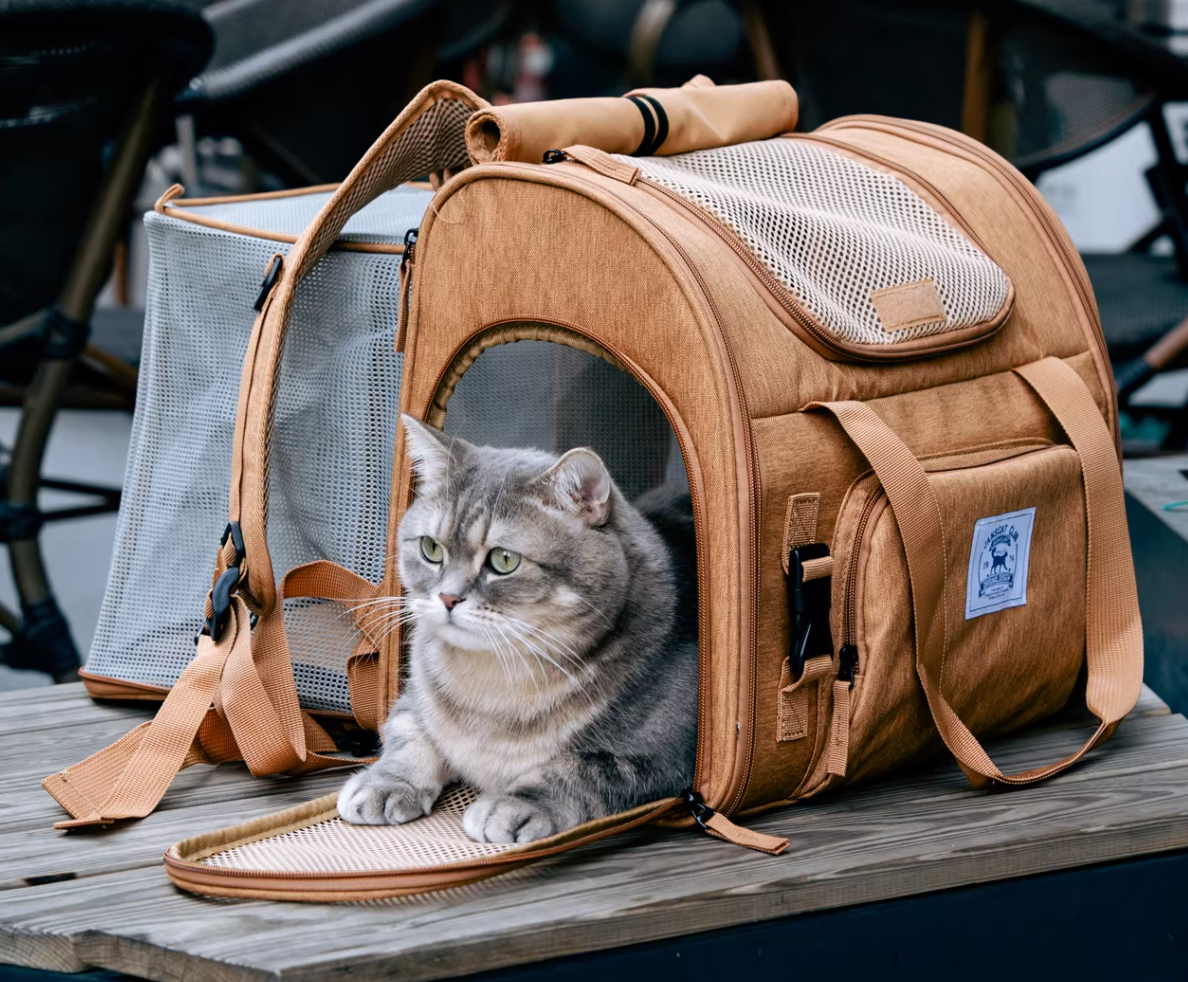 Expandable Pet Backpack – Portable, Lightweight, Breathable, Double Shoulder & Single Shoulder Options