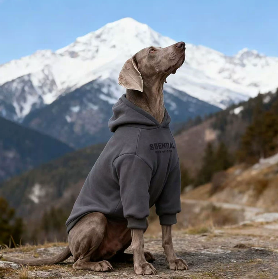 Fleece-Lined Winter Hoodie for Large Dogs – Warm & Cozy Pet Sweatshirt