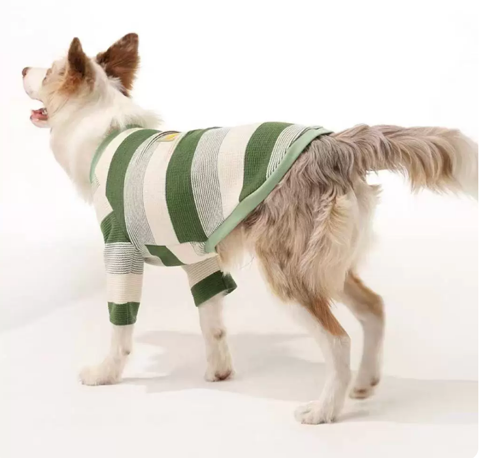 Vintage Striped Pet T-Shirt – Minimalist INS Style Dog & Cat Clothing (XL)