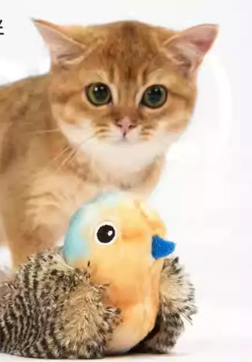 Interactive Chirping Bird Cat Toy