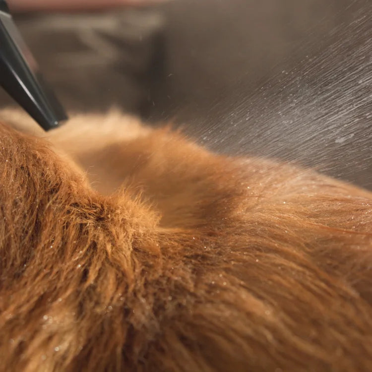 PETABOO Levante 400 – Ultra Quiet High-Speed Pet Hair Dryer