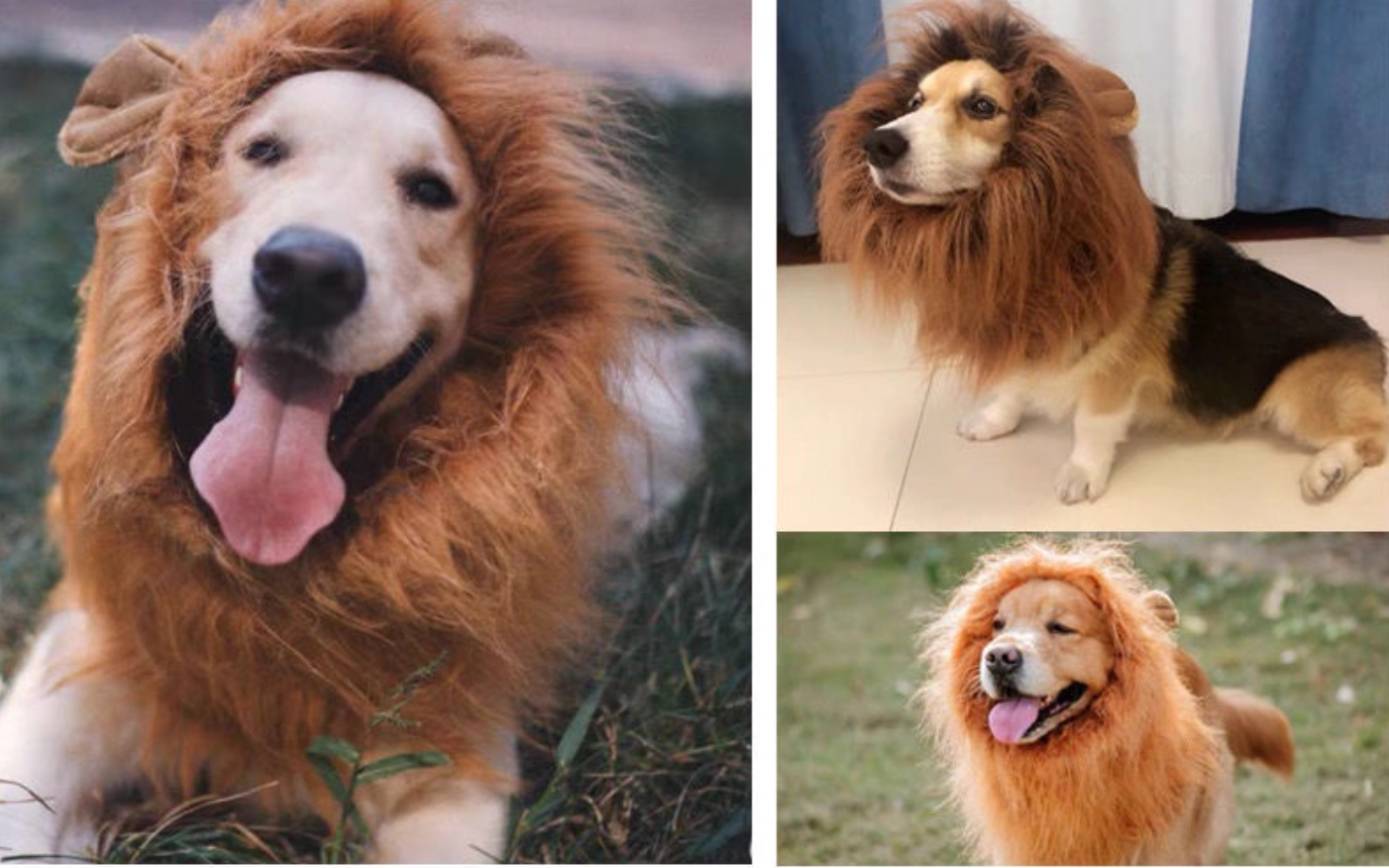 Lion Mane Wig Hat for Medium & Large Dogs