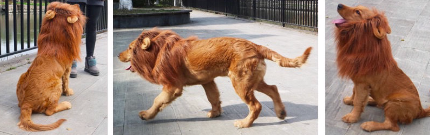 Lion Mane Wig Hat for Medium & Large Dogs