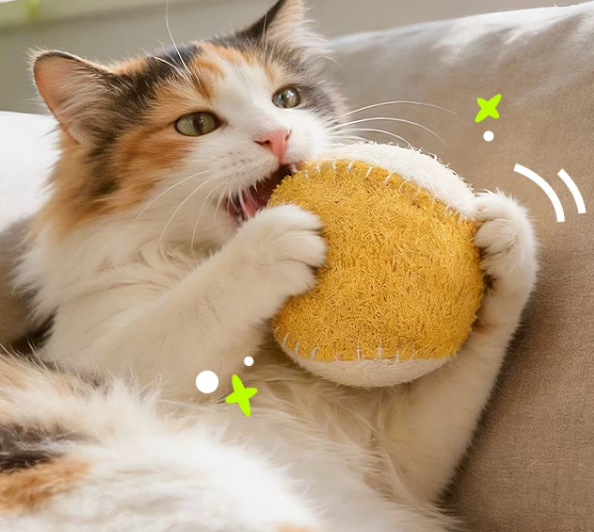 Natural Loofah Cat Toy Ball with Catnip – Dental Chew Toy for Kittens & Adult Cats