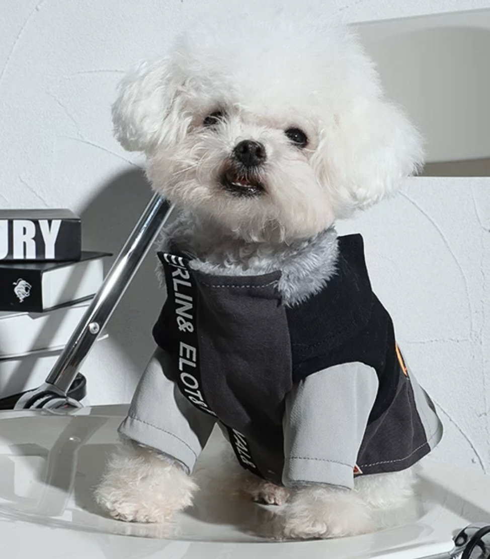 Thickened Winter Puffer Jacket for Cats & Dogs – Warm Pet Coat