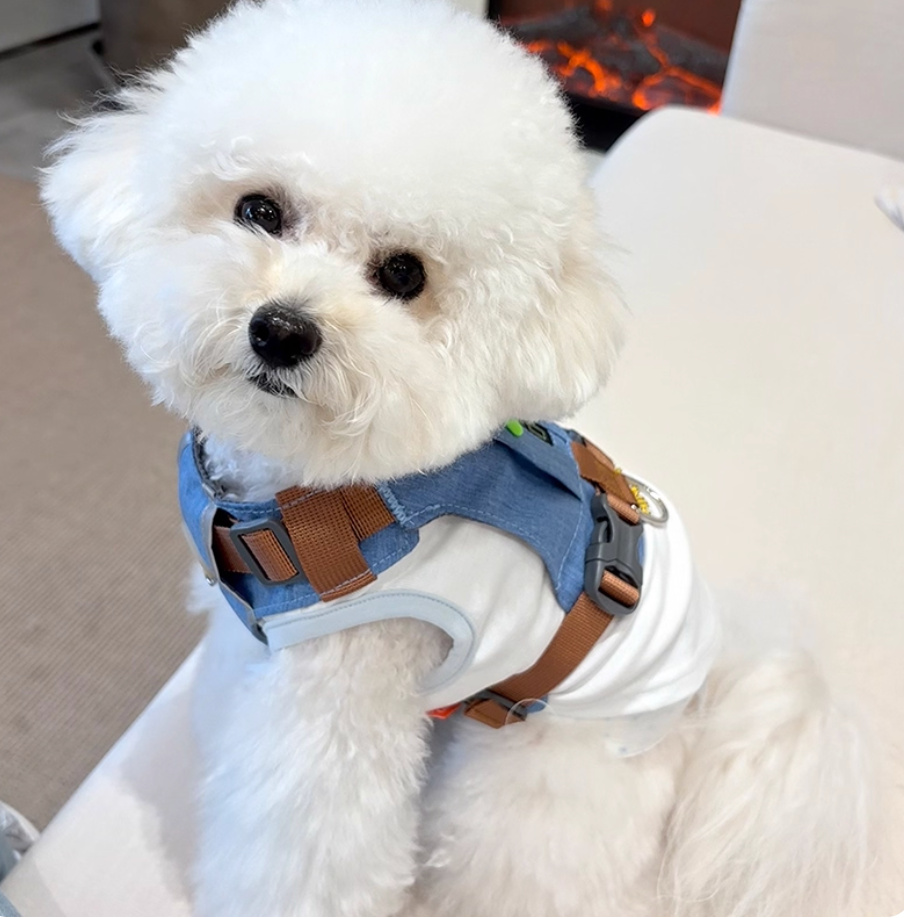 Reflective Dog Harness Leash Set – 5m Retractable Leash