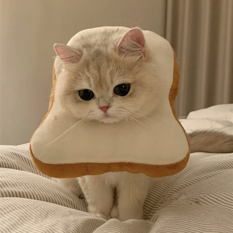 Toast Bread Pet Hat for Cats & Dogs