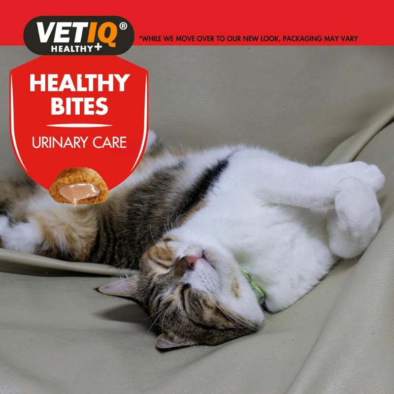 VetIQ Healthy Bites Urinary Care Cat Treats - Cranberry & Cheese, 65g