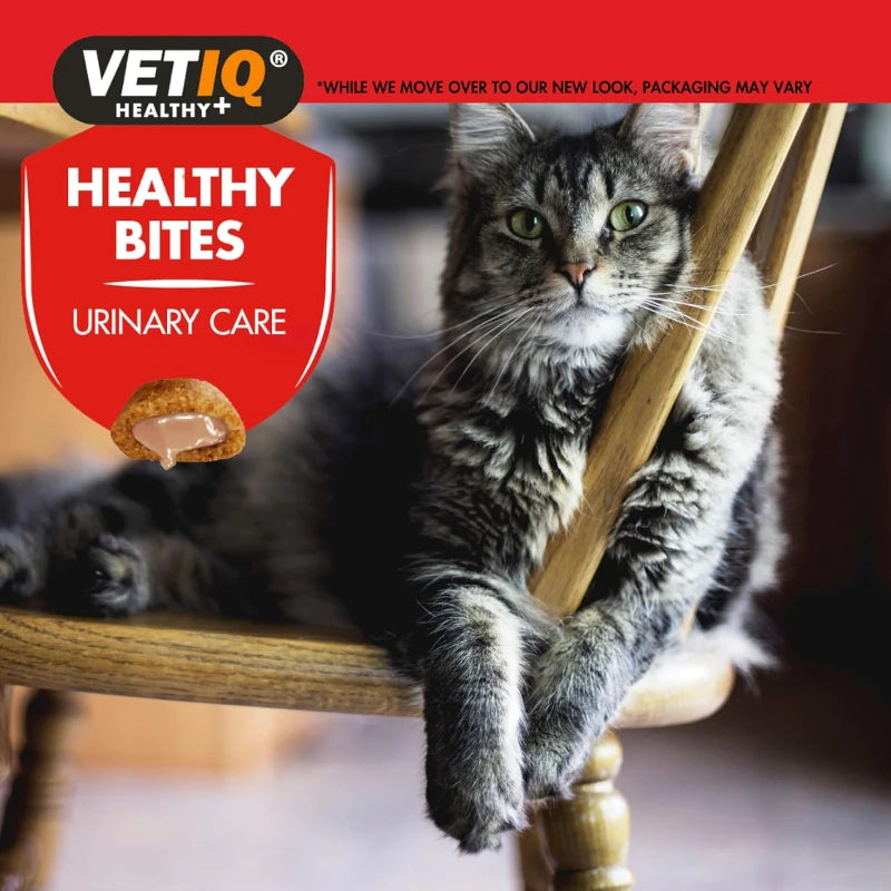 VetIQ Healthy Bites Urinary Care Cat Treats - Cranberry & Cheese, 65g