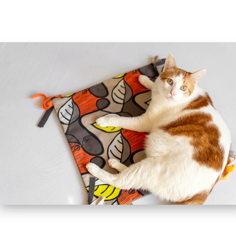 P.L.A.Y. Feline Frenzy Purrfect Playtime Cat Mat with Organic Catnip