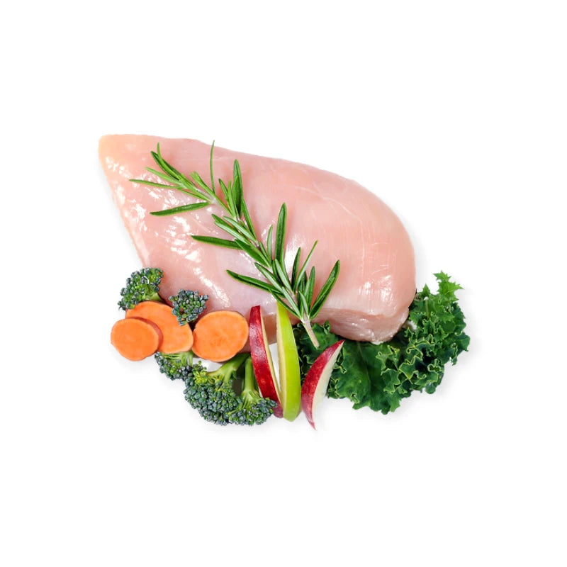 Fresh chicken breast, broccoli, carrots, apples, and kale used in Woof Chicken Dog Treats.
