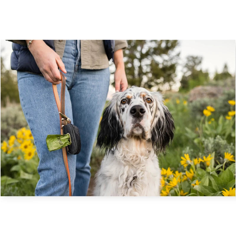 P.L.A.Y. Proper Pup Dog Poop Bag Dispenser - Denim | Eco-Friendly Holder