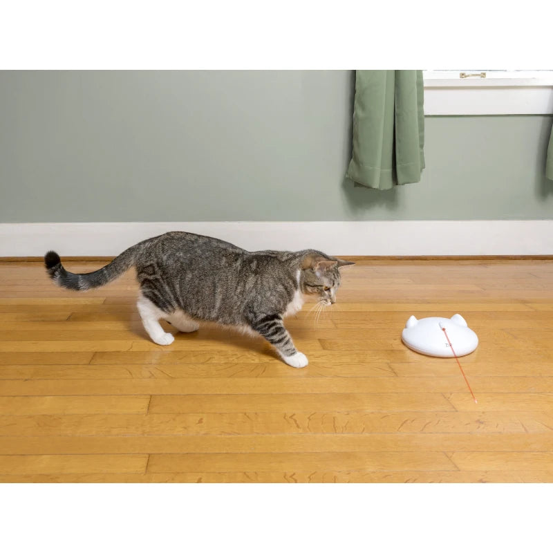 PetSafe FroliCat ZIP Automatic Laser Light Cat Toy