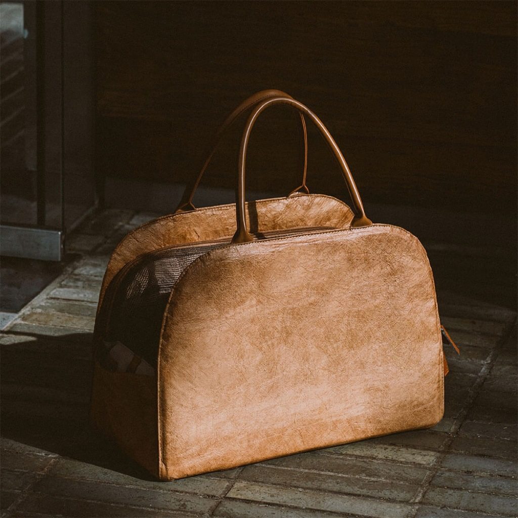 Pet Car Seat & Travel Carrier for Dogs & Cats