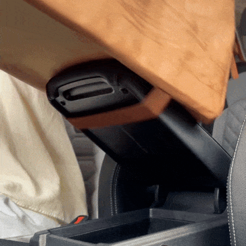 Pet Car Seat & Travel Carrier for Dogs & Cats