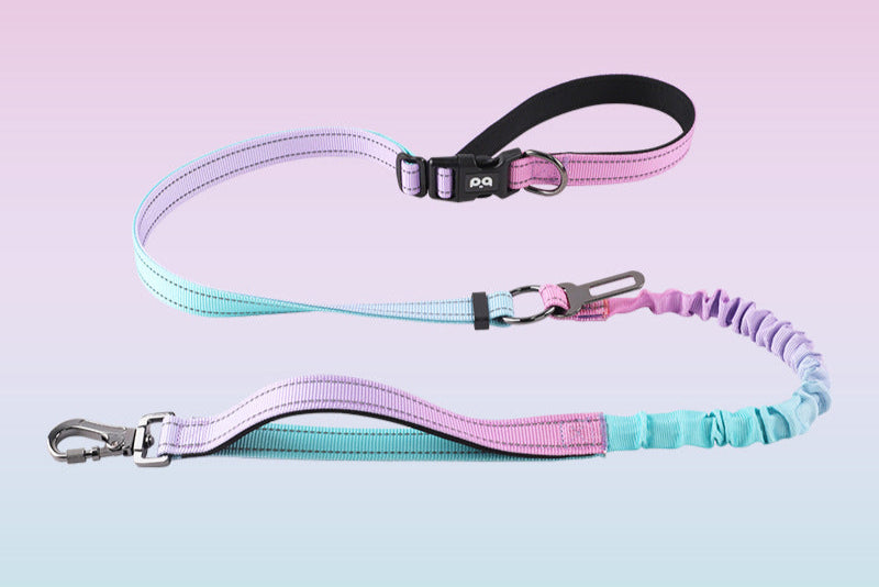 Anti-Burst Elastic Dog Leash | Reflective Gradient Multi-Functional Hands-Free Leash for Medium & Large Dogs