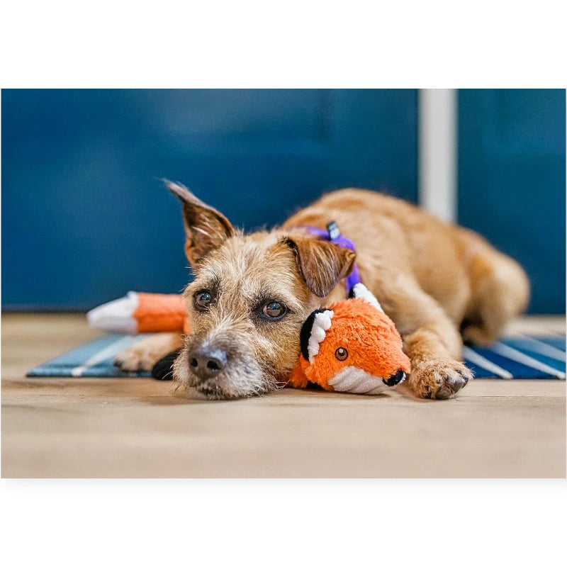 P.L.A.Y. Forest Friends Forest the Fox | Durable Eco-Friendly Dog Toy