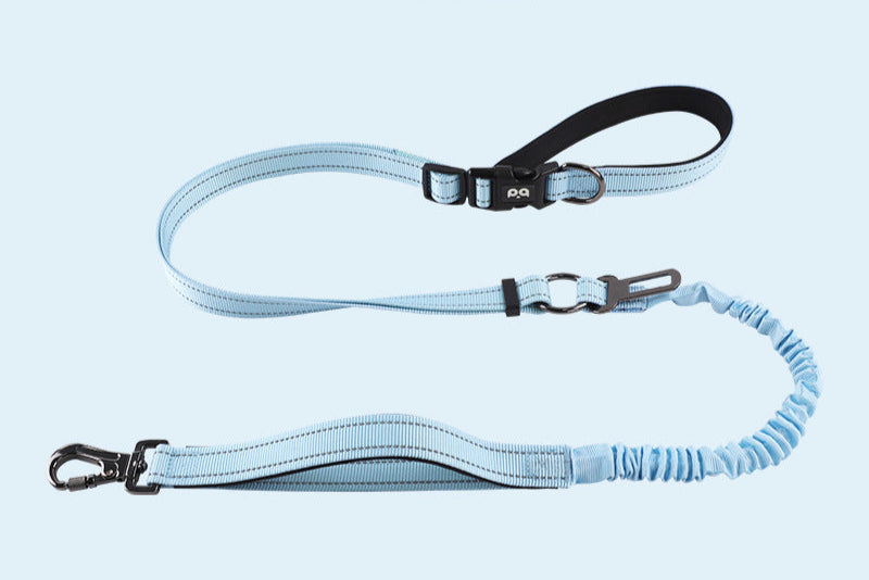 Anti-Burst Elastic Dog Leash | Reflective Gradient Multi-Functional Hands-Free Leash for Medium & Large Dogs