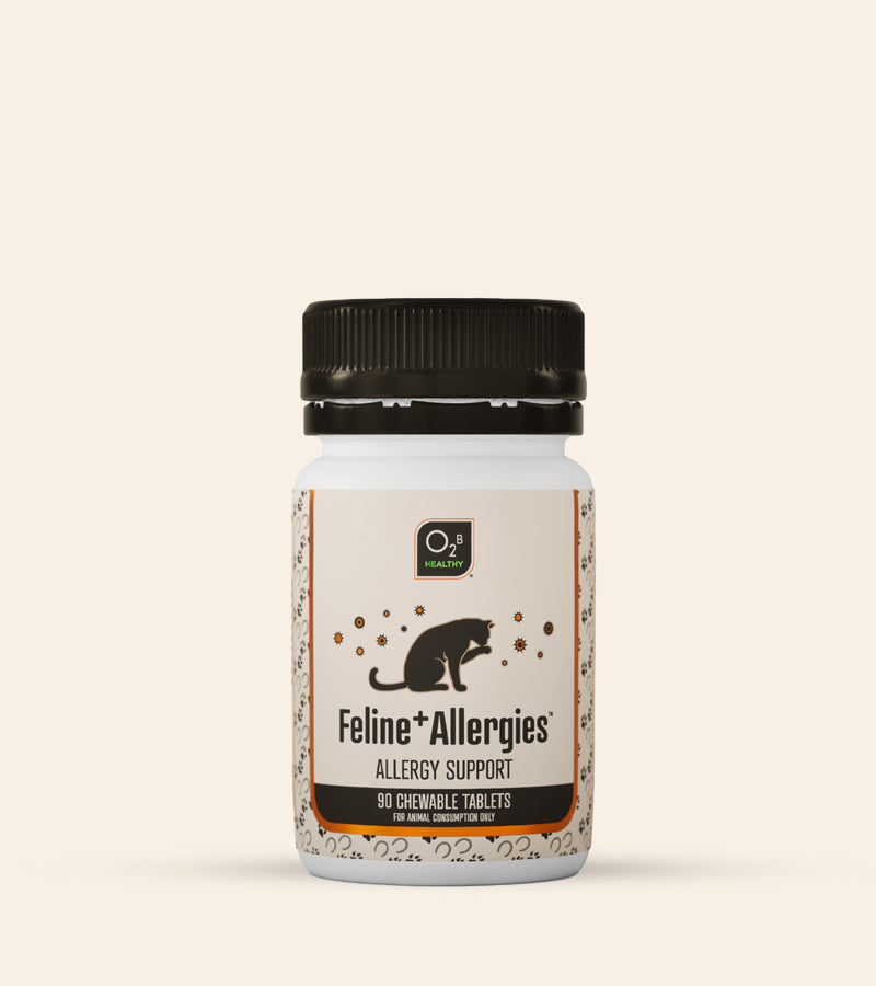 O2B Feline+ Mitocell™ 90s  – Cellular Energy and Healthy Aging Support for Cats